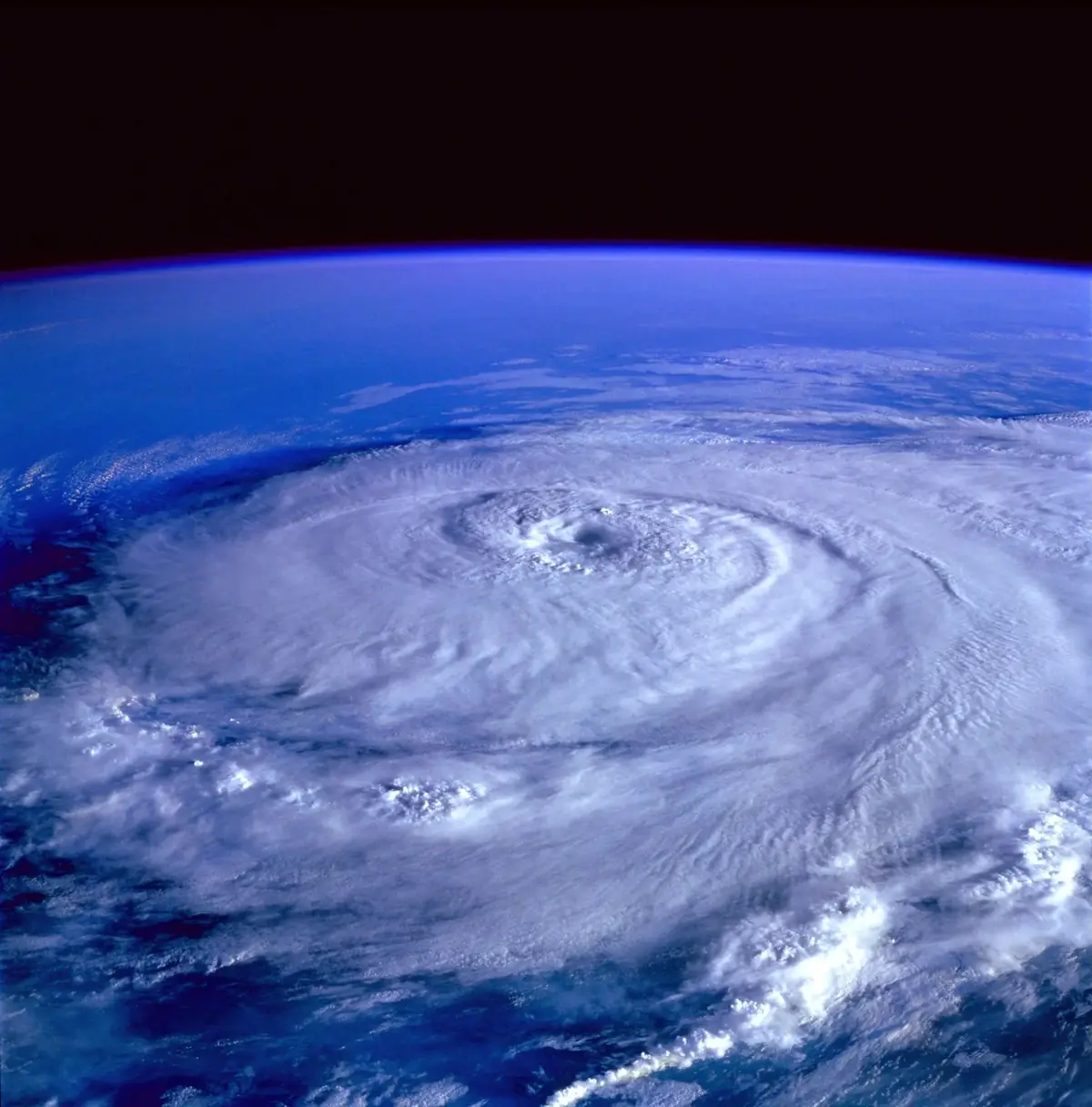 Hurricane Check List
