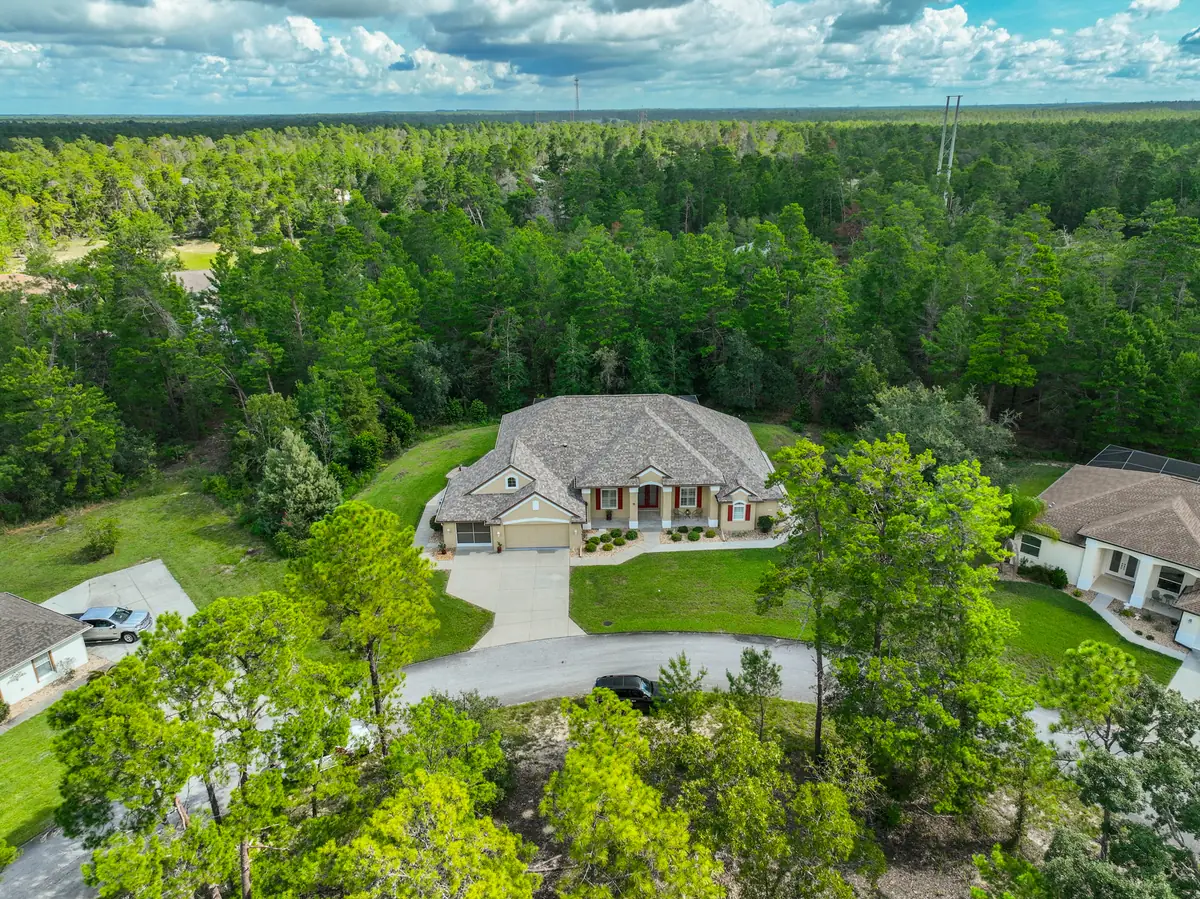 Aerial view of a Florida estate