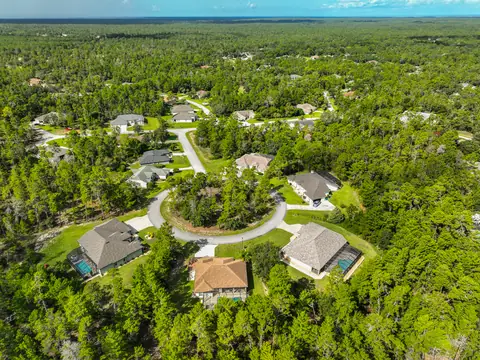 Overhead view of the estate's cul-de-sac setting surrounded by acres of preserved woodland.